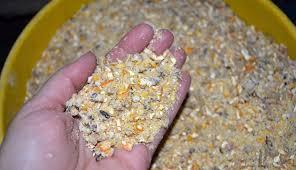 Cattle Feed Powder