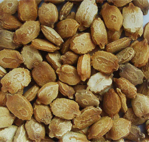 Bittergourd Seeds