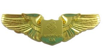 Wing Badge Badge Type: Pin