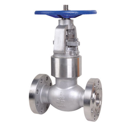 Piston Globe Valve