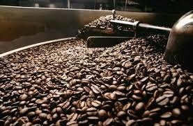 Vietnam Robusta Coffee Beans