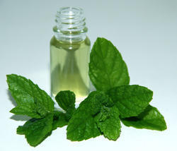 Cotton Fresh Menthol Oil 