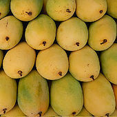 Fresh Mangoes