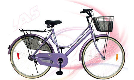 Girl's Bicycle