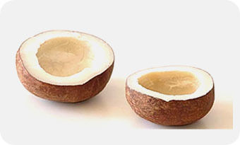  नारियल कोपरा