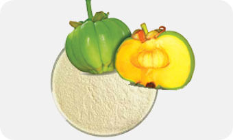 Garcinia Combogia 60% Hca