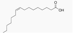 Palmitoleic Acid