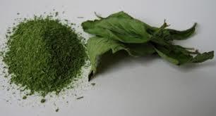 Bush Type Couplings Stevia Green Leaves Powder