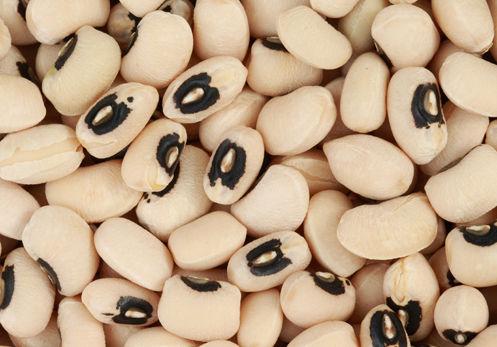 Organic cowpea