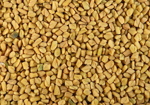 Organic Fenugreek Seeds Powder