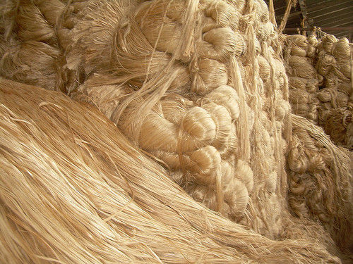 https://tiimg.tistatic.com/fp/1/003/761/raw-jute-fiber-414.jpg