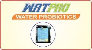 WatPRO Water Probiotics