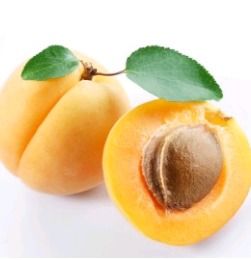 Apricot (Khurmani)