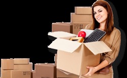 Packers And Movers Service By BALAJI FRIGHTS PACKERS MOVERS