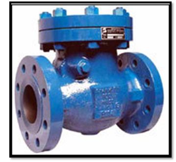 Check Valves