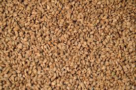 Brown Top Millets