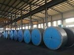 Polyester Conveyor Belts