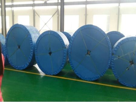 Acid and Alkali Resistant Conveyor Belt