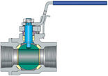 End Entry Ball Valves