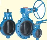 VAMAJA Butterfly Valves