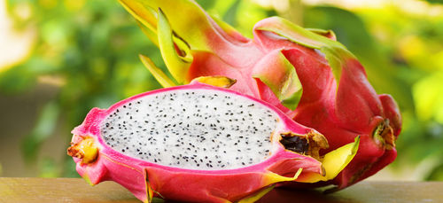 Dragon Fruit