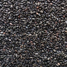 Sesame Seeds - Black