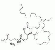 Phosphatidylserine