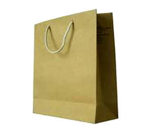 Durable Paper Carry Bag