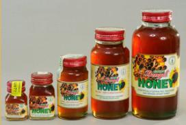 Process Honey (In Glass Bottle)