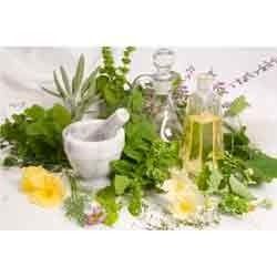 Herbal Fragrance