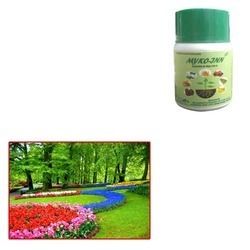 Vesicular Arbuscular Mycorrhizae for Gardens