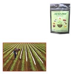 Mycorrhiza Vam For Commercial Farming