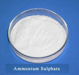 Ammonium Sulphate