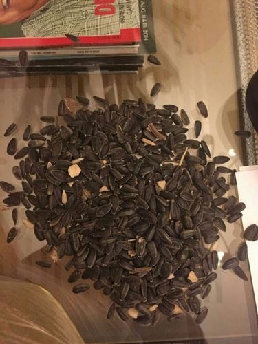 Black Sunflower Seeds In Shell