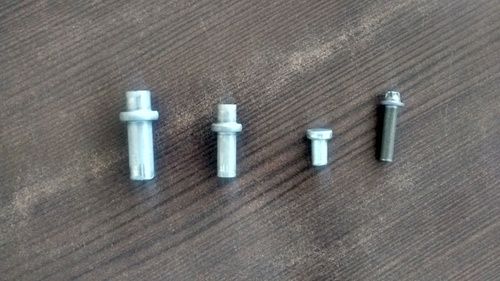 SS Rivets And Screws