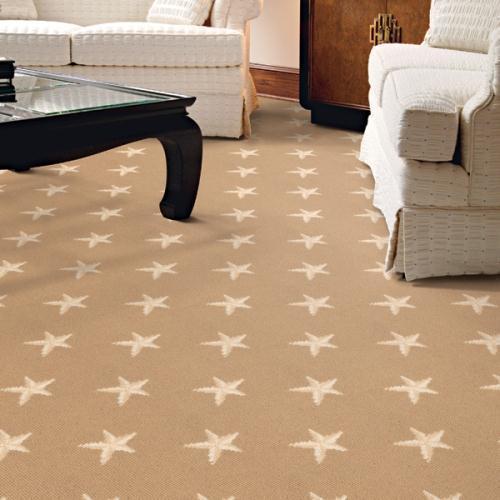 Eye-catching Design Floor Carpets