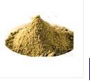 Dhania Powder