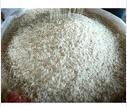 Premium Basmati Rice