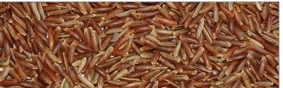 Raw Brown Rice