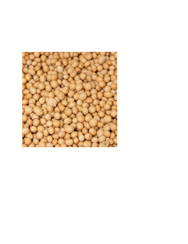 Soya Beans By Lucksomeplus Int. Ltd