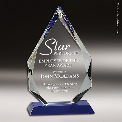 Employee Of The Year Award At Best Price In New Delhi Delhi BAJAJ 