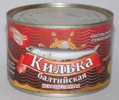 Kilka, Sprat Or Tuna Of Black Sea