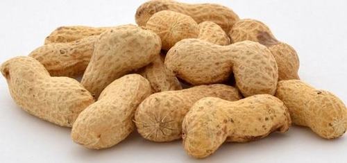 Groundnuts Peanut