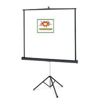 Tripod Screen