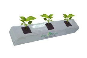 Grow Bags