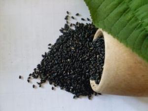 Natural Sesamin Extract