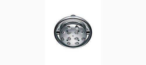 Showerhead with Shower Arm in Polished Chrome