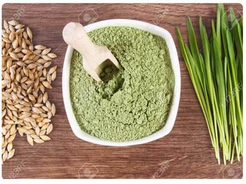 Barley Grass Powder