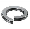 Stainless Steel Spring Washers