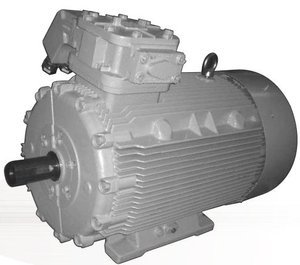 Flame Proof FLP Motors